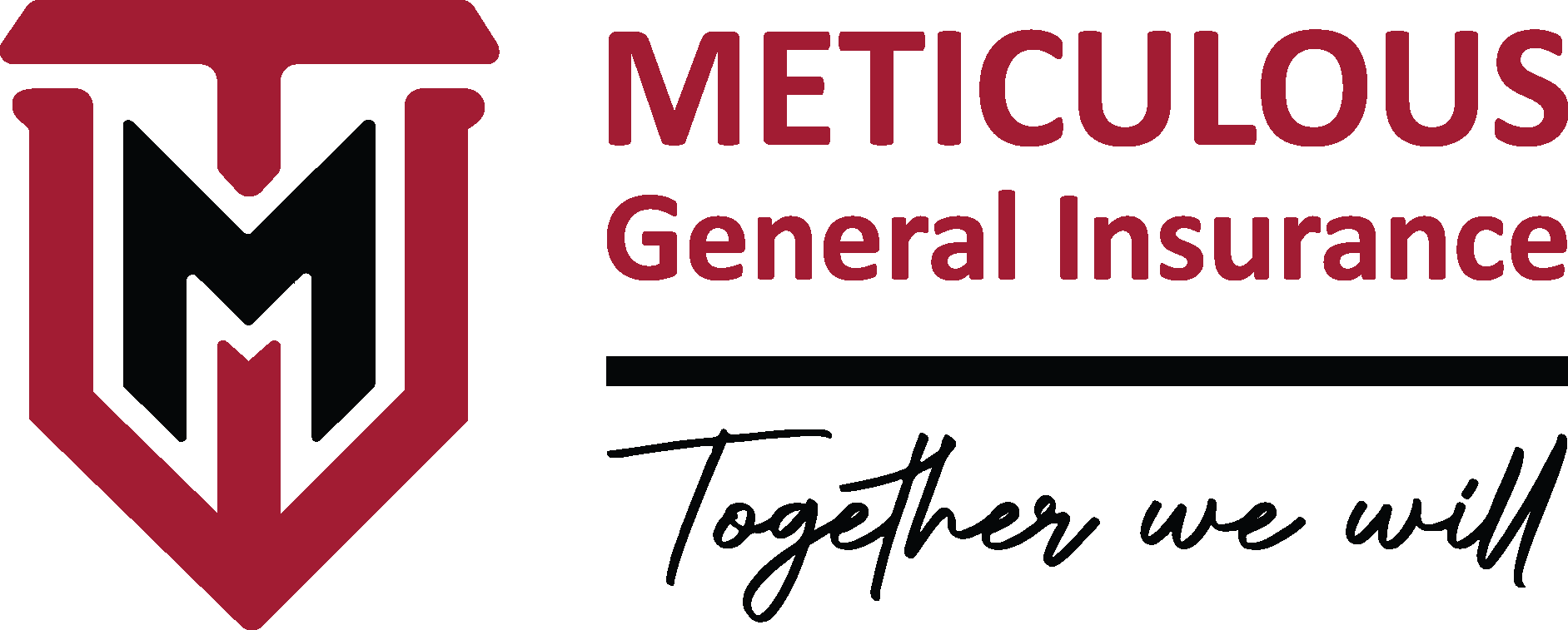 Meticulous General Insurance Company Limited